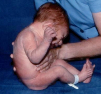 newborn supported sitting.jpeg