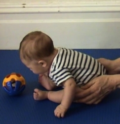Will 10w sitting pelvic support 2_1.jpg