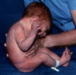 sitting-newborn_1.jpeg