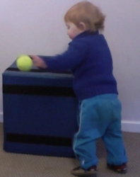 Max 17m throwing tennis ball 2.jpg