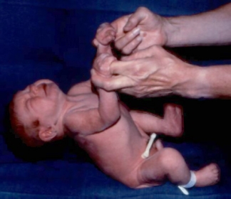 Newborn pts.jpeg