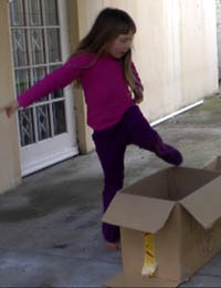roan stepping into a box 11.jpg