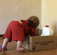 will 13m into bax 1.jpg