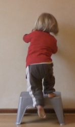 W 32m step up 25.jpg