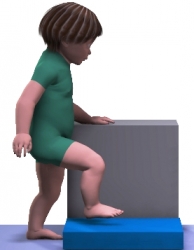 Step up low step touch support.jpg