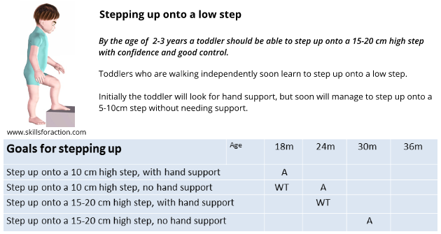 step up newsletter.png