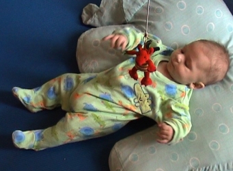 W 15w grasp red dragon 1.jpg