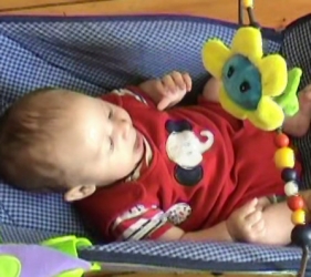 W 9w bouncy chair flower.jpg