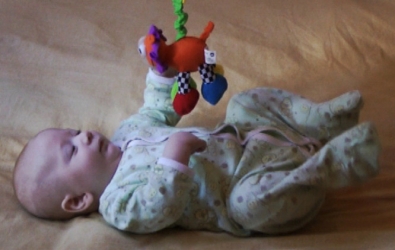 max 18w talking to midline suspended toy 2.jpg