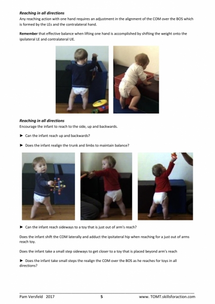 TOMT Assessment of Standing notes-page-005.jpg