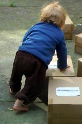 18 m Fall back 5.jpg