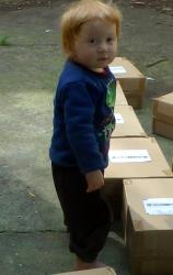 18m fall back 0_1.jpg