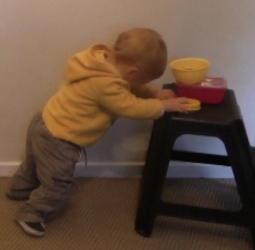 M 18m pushing step 5.jpg