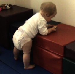 R 12m waist high support.jpg