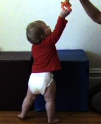 R 14m stand reach down 2.jpg