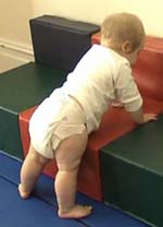 Roan 12m standing low block 1.jpg
