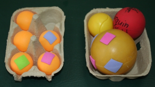 egg_box_container.JPG